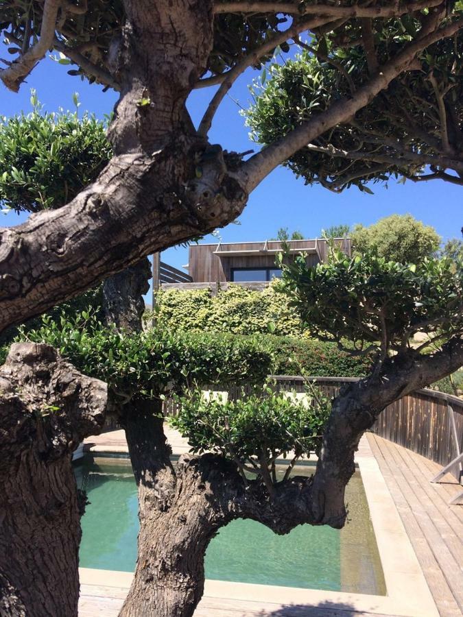 La Poussada, Maisons Ecologiques Avec Vue Mer La Palme المظهر الخارجي الصورة